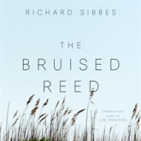 The_Bruised_Reed